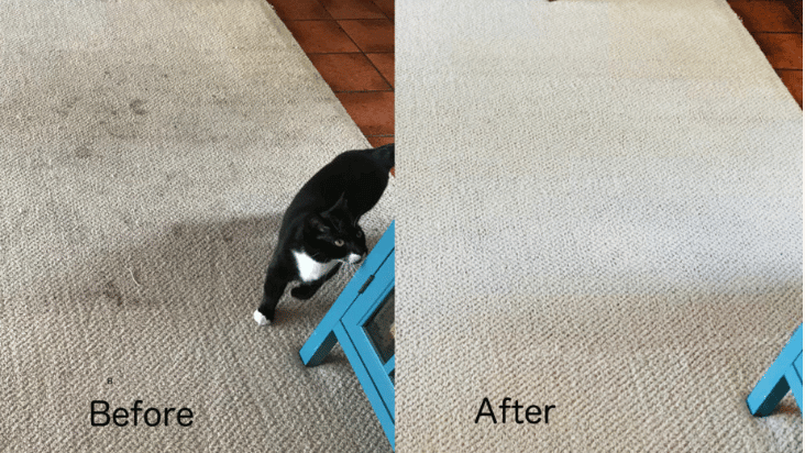 Carpet Cleaning Services before and after