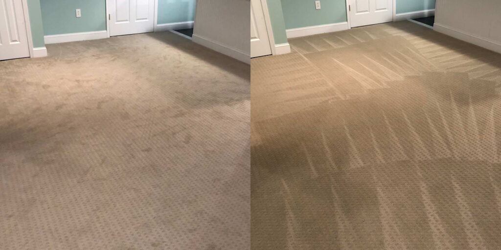 mattress and Area Rug Cleaning Services