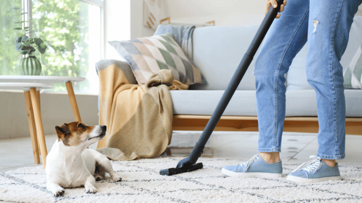 Carpet Cleaning Family