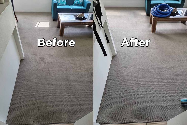 Carpet Steam Cleaning Before