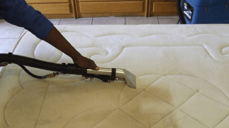 Carpet and Mattress Cleaning-Services