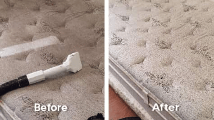 Carpet and Mattress Cleaning-Services before and after