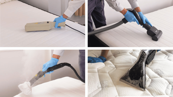 Carpet and Mattress Cleaning Services