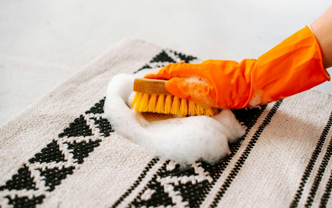How To Quickly Clean Pet Stains Off Your Rugs Before They Set